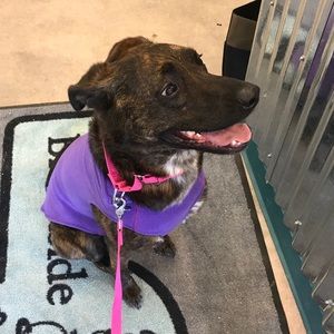 Meet your Posher, Samantha